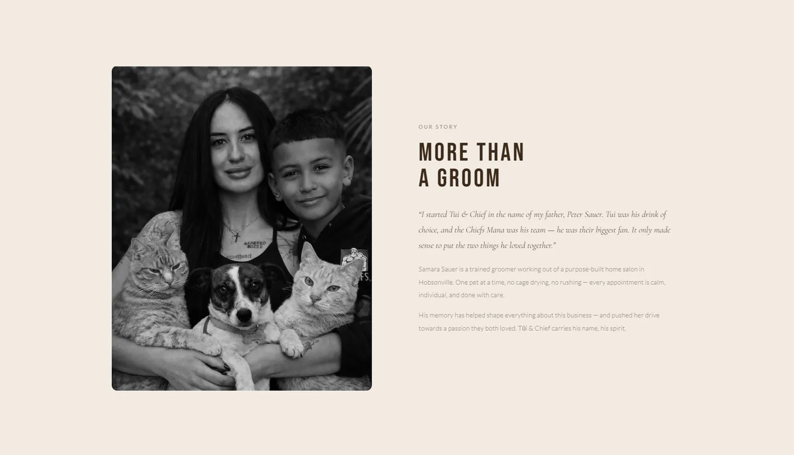 Tūi & Chief website, designed by Alpine Studio